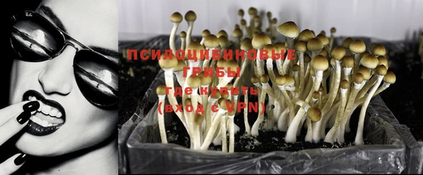 герыч Балахна