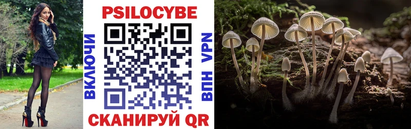 Галлюциногенные грибы мицелий  Купить  Кимры 